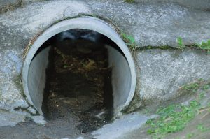 storm debris pipe cleaning drain